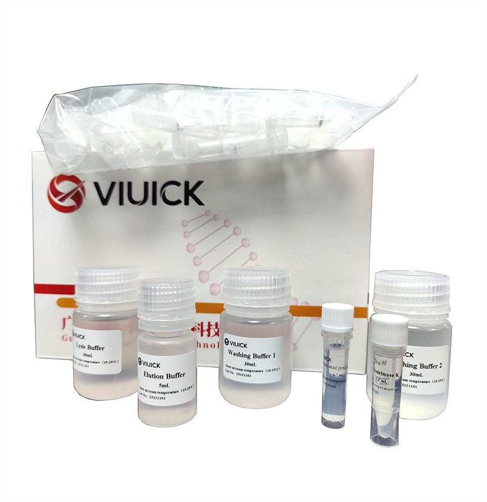 Diagnostic Kit for Five Kinds of Cathartic Escherichia coli DNA